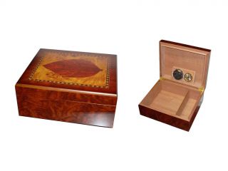 Cigar humidor for 25 cigars