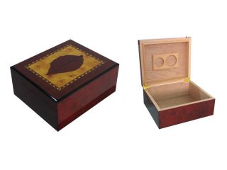 Cigar humidor for 25 cigars