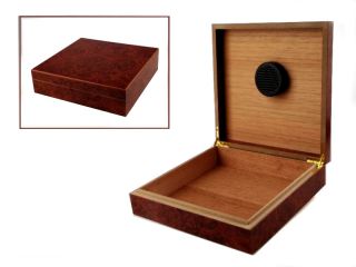 Cigar humidor for 10 cigars