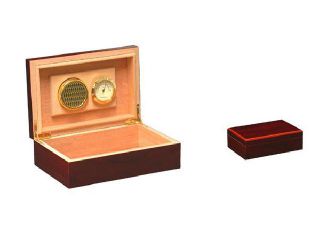 Cigar humidor box for 12 cigars